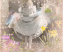 The new dress