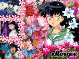 Kagome, the love life of Inuyasha ...