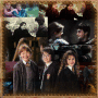 ...Noi che amiamo Harry Potter...