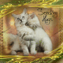 Sending Hugs Sending Hugs