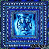 Portrait Of An Animal!!!