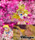 sailor venus