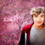 >>L i a m.#