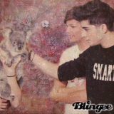 Zayn, Louis e un Koala c: