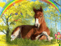 cheval