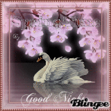 Good night my dear friend