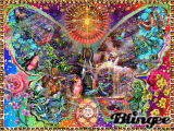Butterfly Fantasy