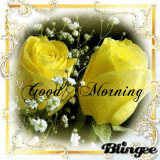 Good morning my dear friend