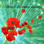 Grafica con effetti glitter