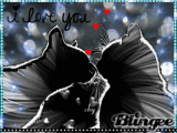 Kitty Luvs...a Close Encounter