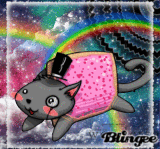 nyan cat MR CAT 2