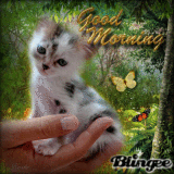 Good morning, Karin!