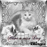 Have a nice day my dear