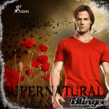 Supernatural - Sam Winchester