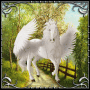 PEGASUS PEGASUS