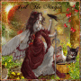 Feel The Magic ~ For Val~ Feel The Magic ~ For Val~