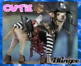Little pirate