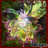 fairy's night music