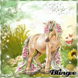 Spring Horse 