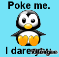 Poke Me Penguin