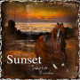 brown horse and the sunset
