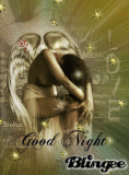 Good Night Friends