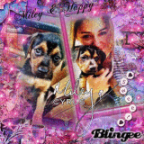 ♥ ». мιley & нαppy ѕo ѕweeт .« ♥
