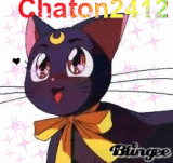 luna chaton2412