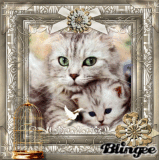 kittens- KAH