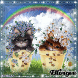 Friendship is beautiful Rainbow