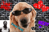 snoop dog