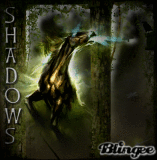 shadows