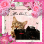 Katze
