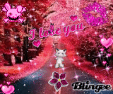 pink road 
