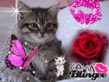 Matygame19