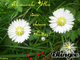 Freitag