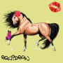 equideow