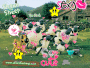 shaun the sheep the flock