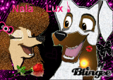 Nala and Lux 