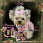 The Yorkshire Family: by Maddi 