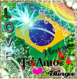 EU TE AMO BRASIL!!!!!!