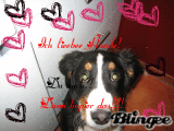Ich lieebee Hunde!