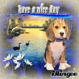 •°o.O Have A Nice Day! O.o°•