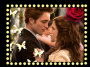 twilight 4