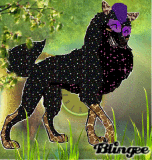 thankiess Timber <3 this is Brianna