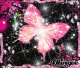 Butterflay (Borboleta)