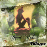 Good Night Friends