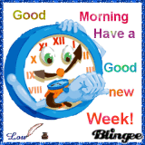 Good morning have a good new week
