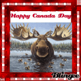 Happy Canada Day Moose