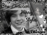 One Direction ~ Harry Styles (L)